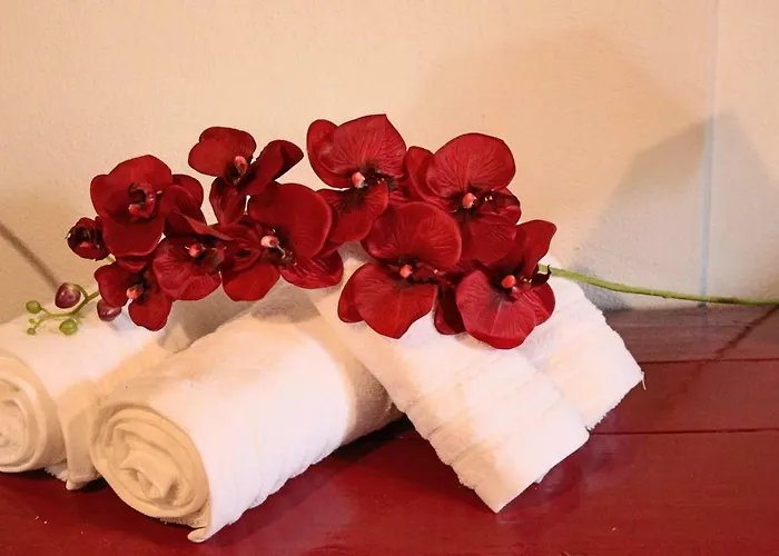 Quinta Da Ti Julia ファームステイ