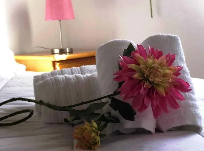 Фермерский дом Quinta Da Ti Julia Томар